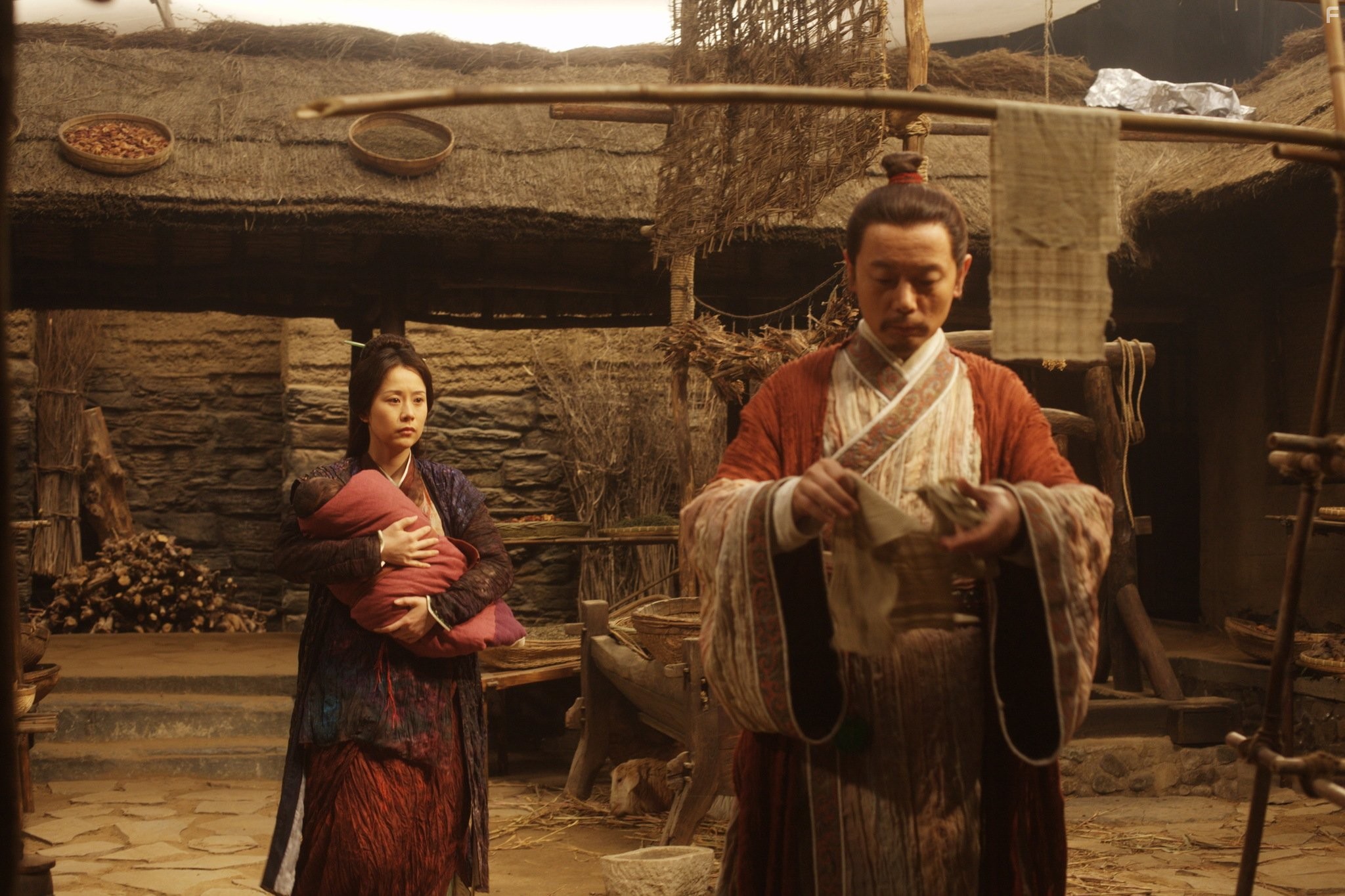 Сирота из рода Чжао (2010)