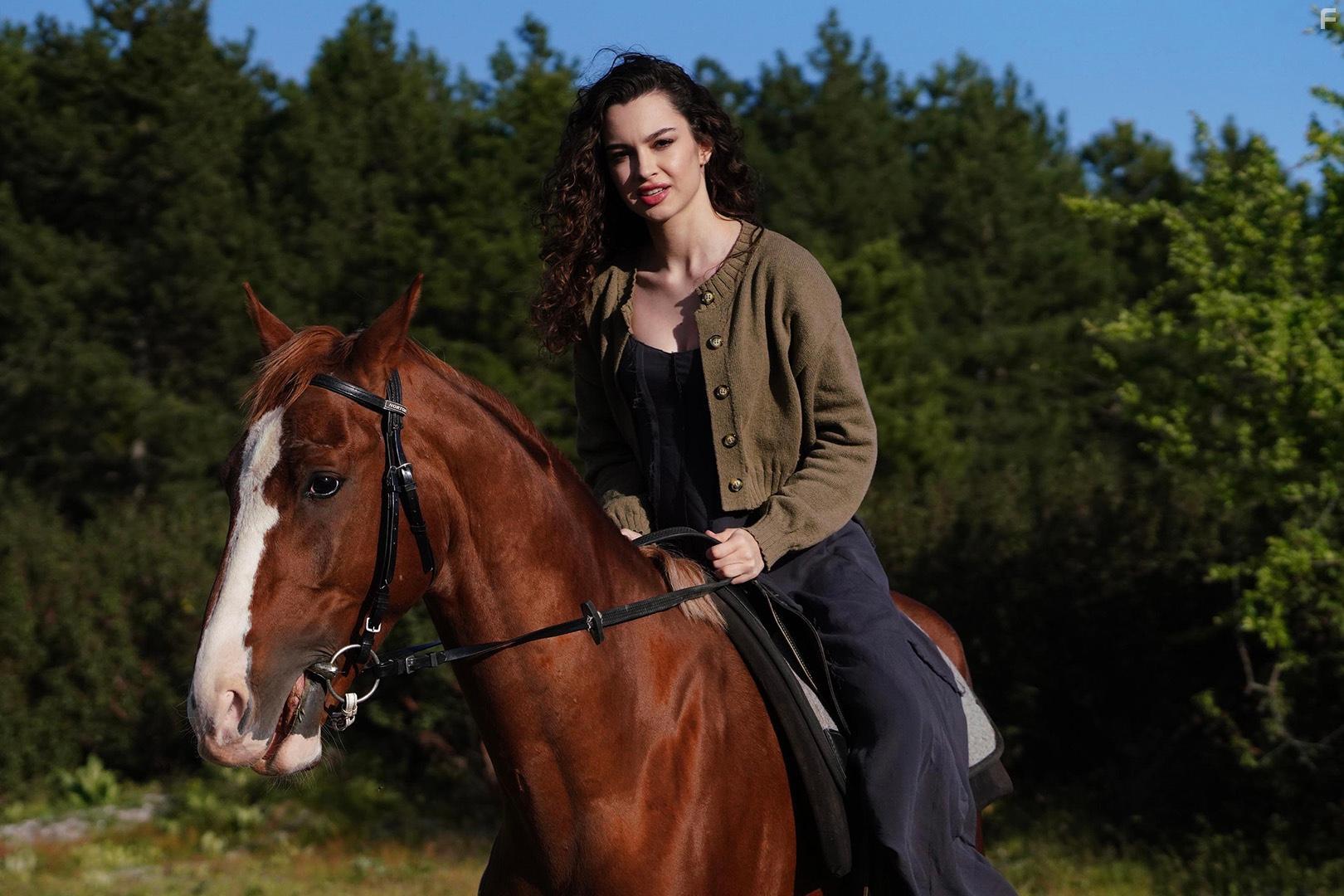 Ночная сказка