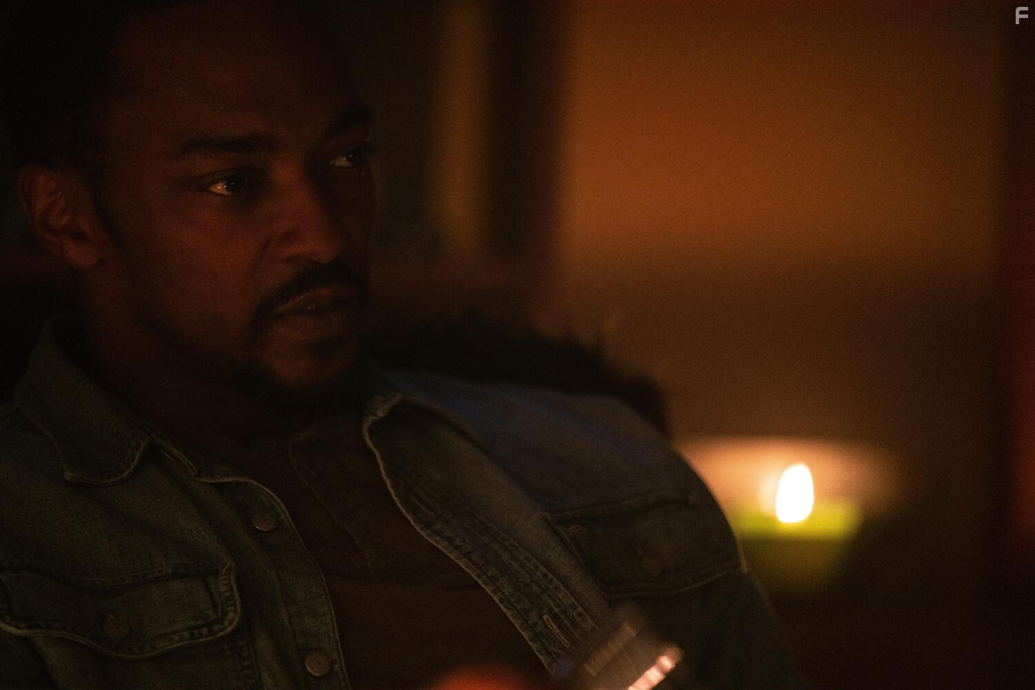 Хищные земли #8