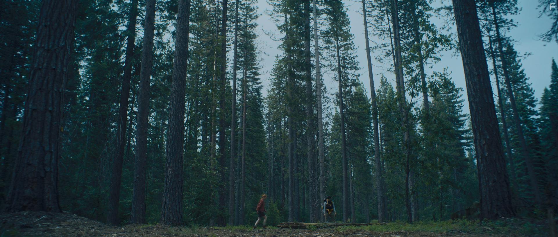 Проводник смерти