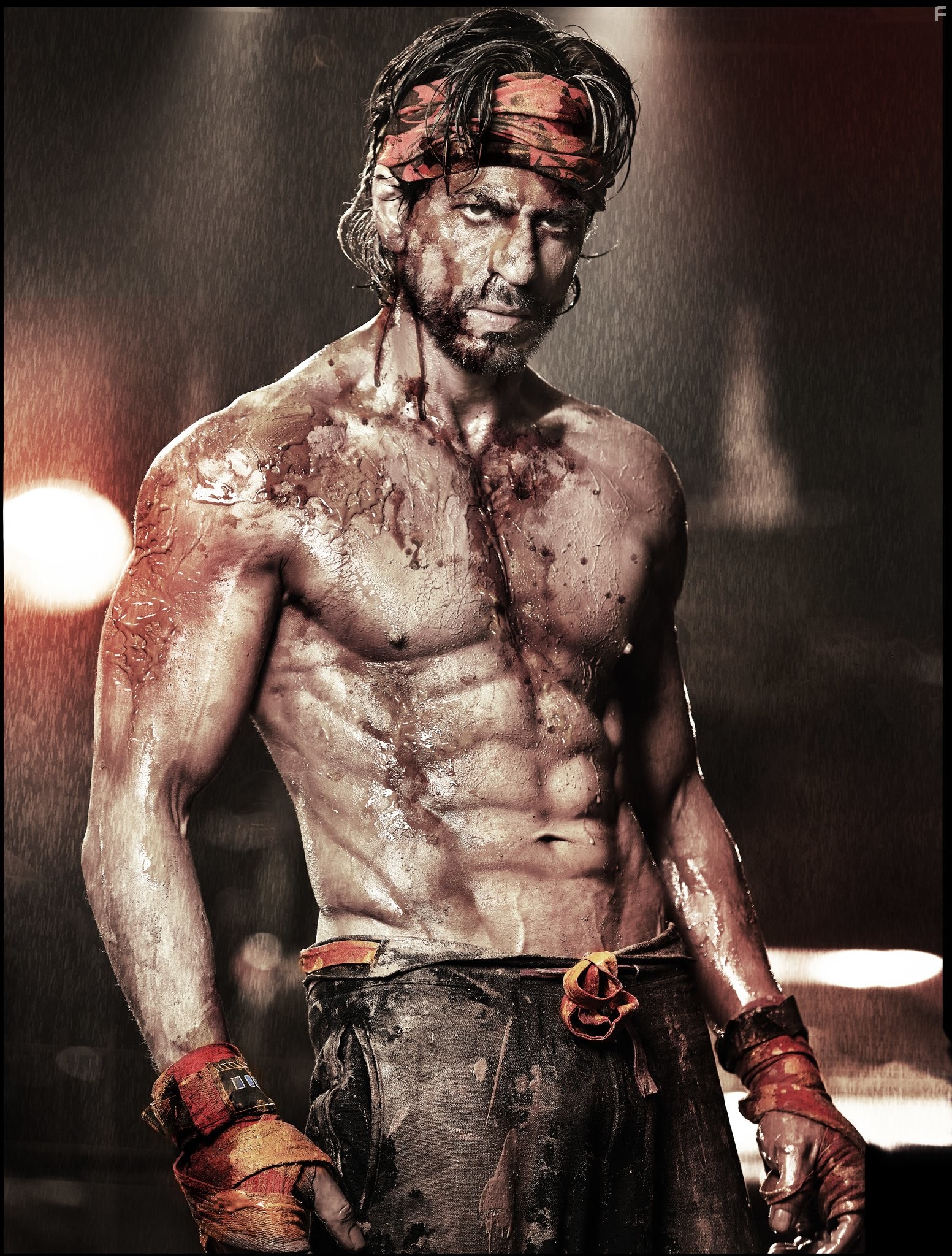 Shah Rukh Khan in С Новым годом (2014)