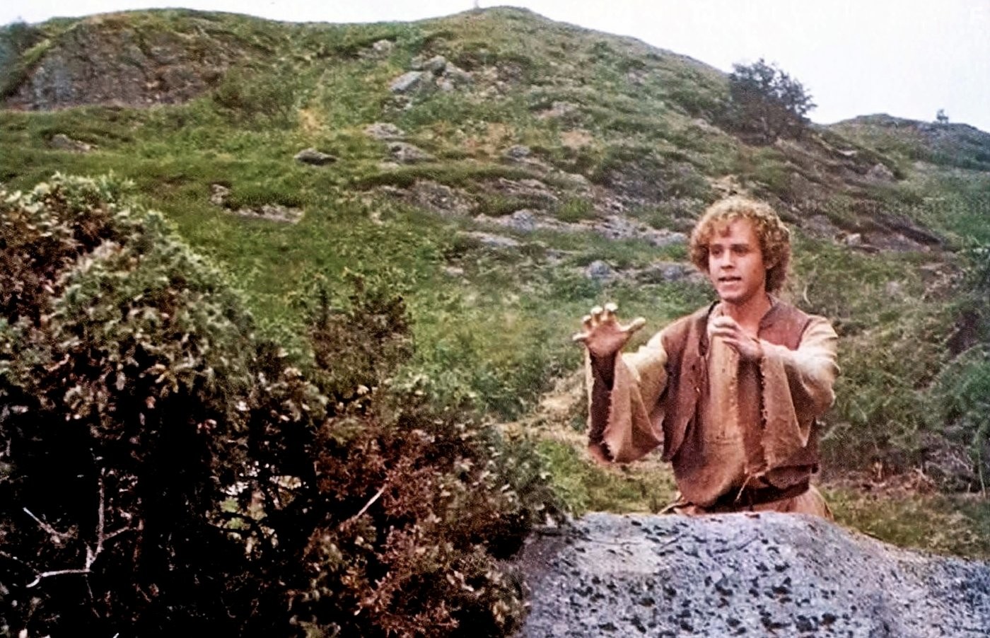 Peter MacNicol in Победитель дракона (1981)