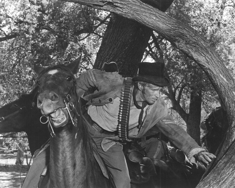 Dean Smith in Рио Лобо (1970)