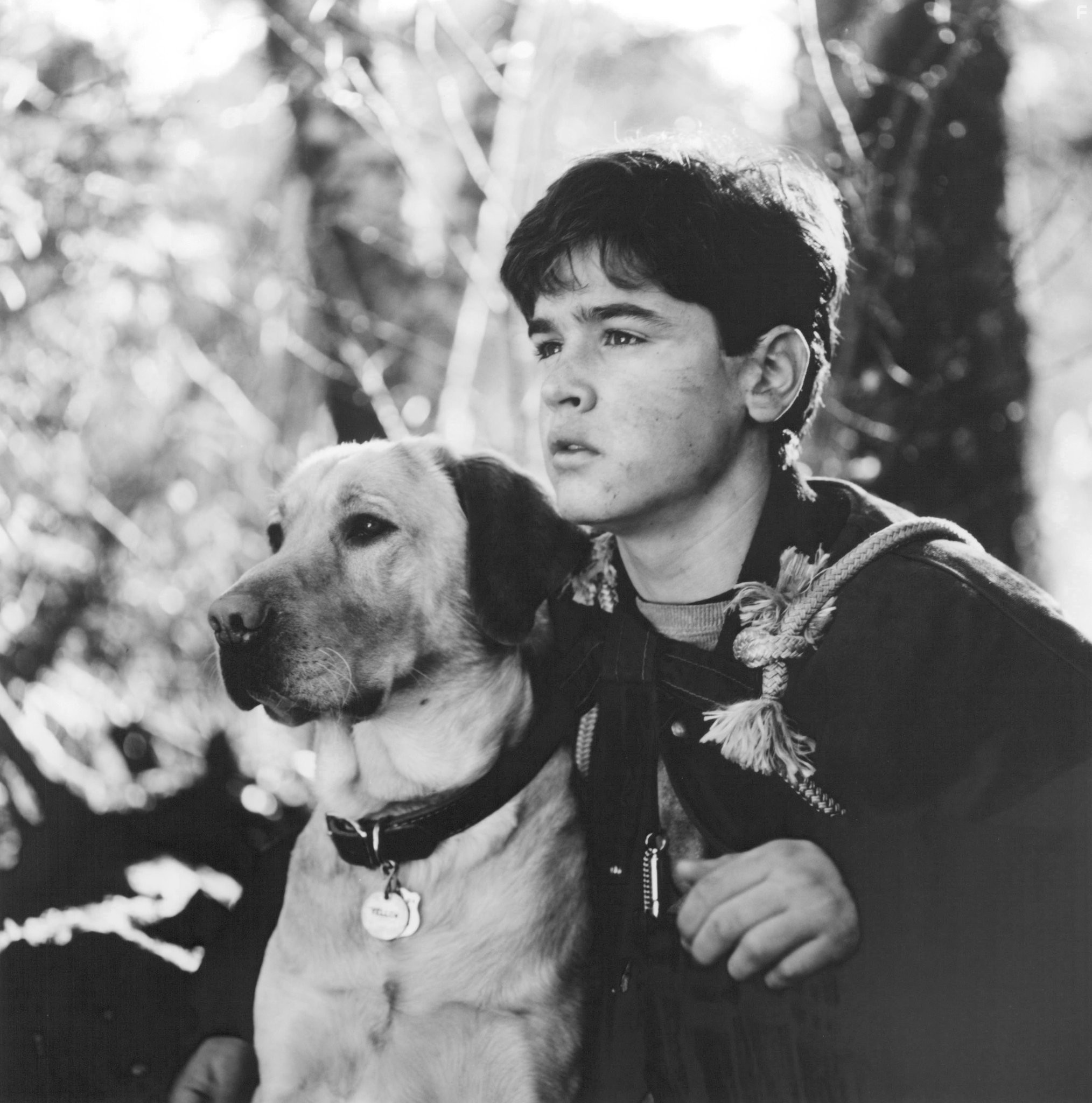 Jesse Bradford in Далеко от дома: Приключения желтого пса (1995)
