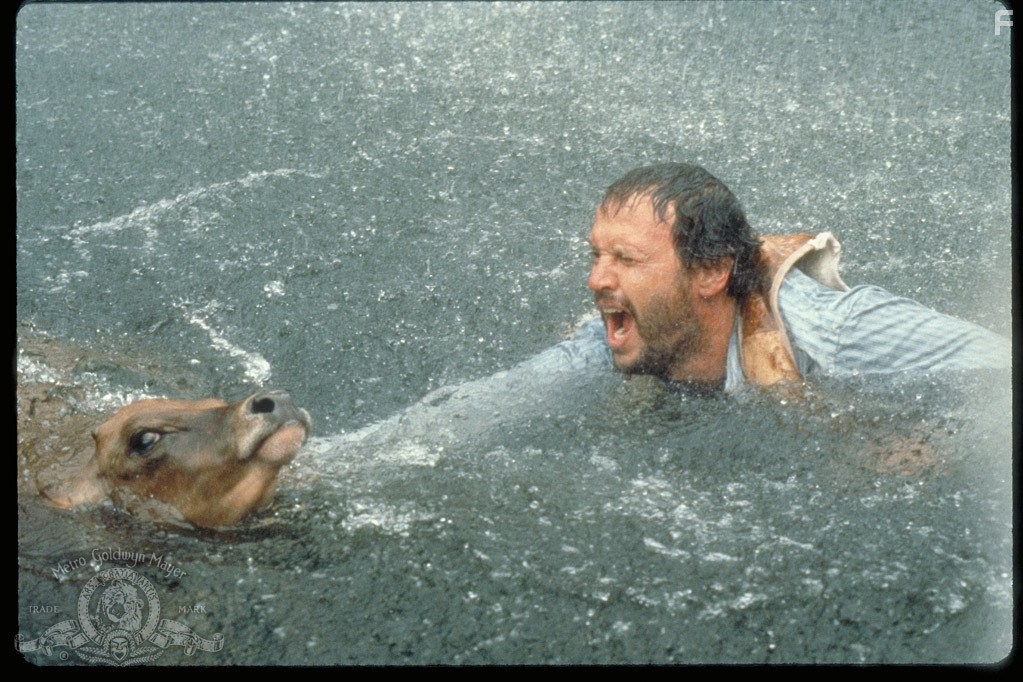 Billy Crystal in Городские пижоны (1991)
