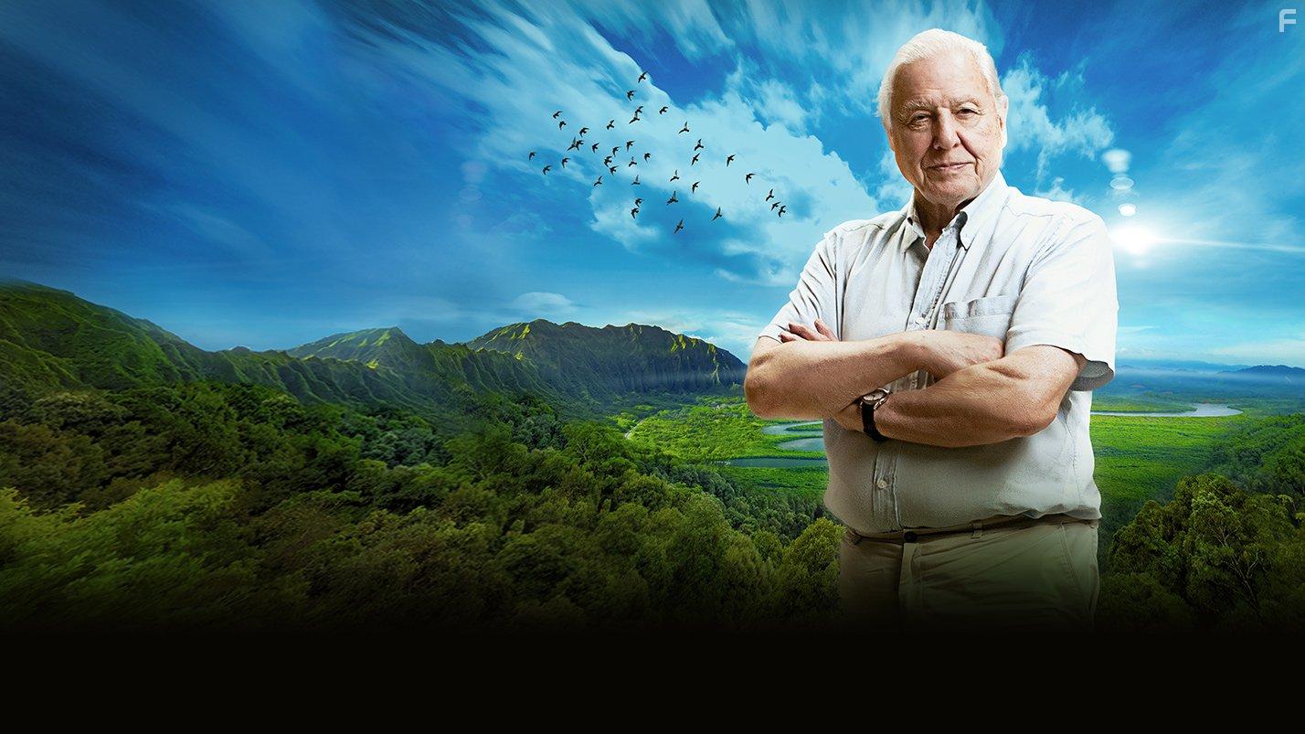 Всемирное приключение Дэвида Аттенборо