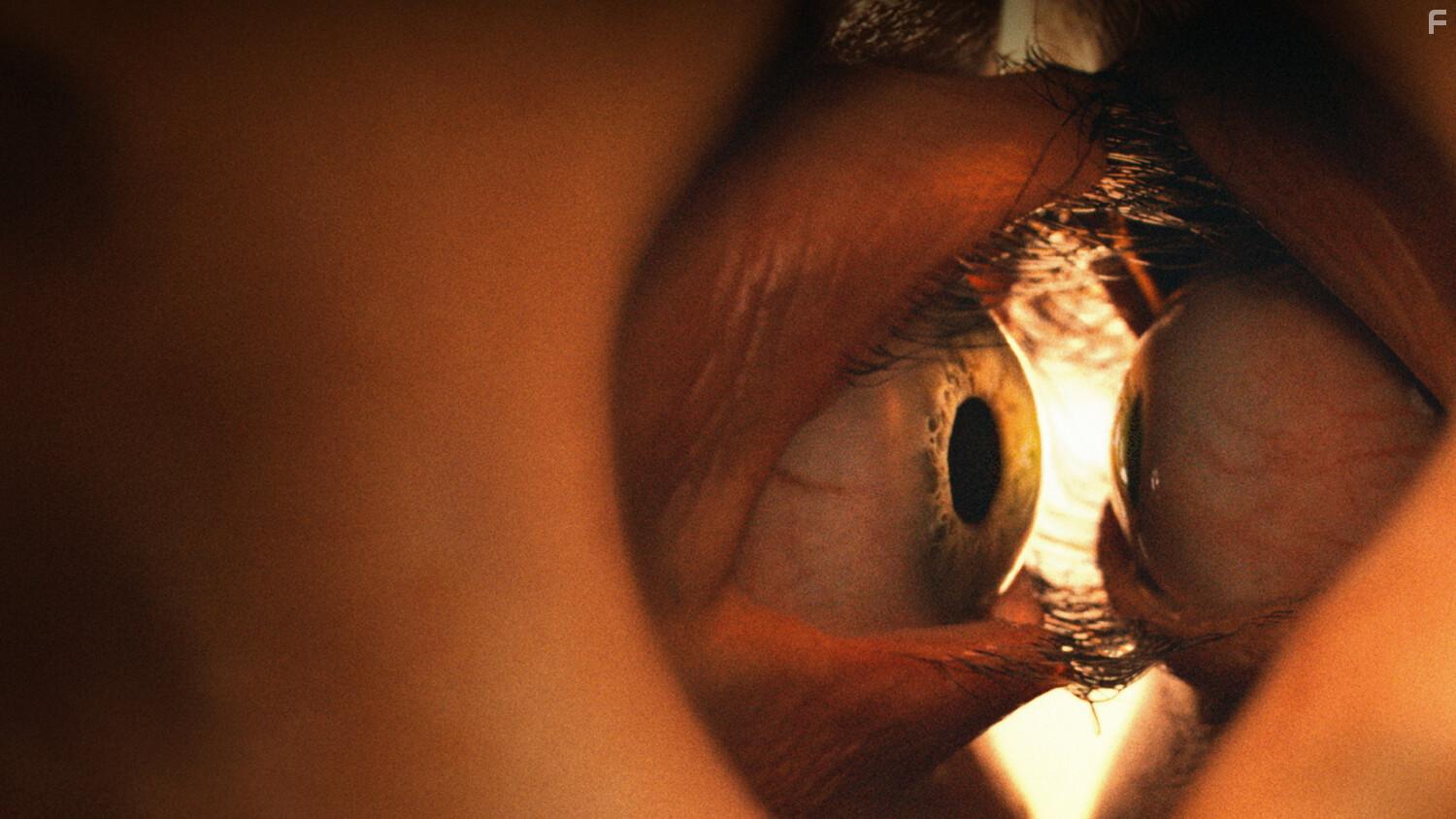 Одно целое #11