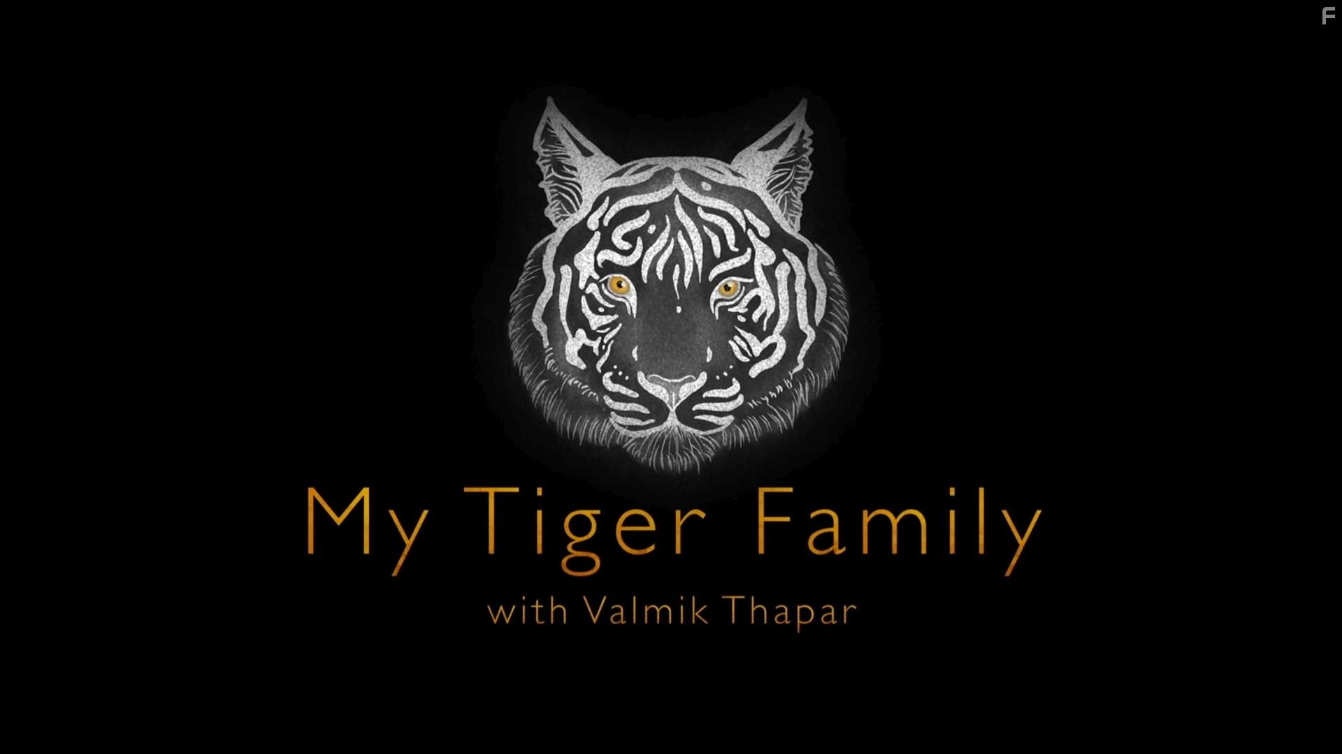 BBC. Легендарные тигры Индии