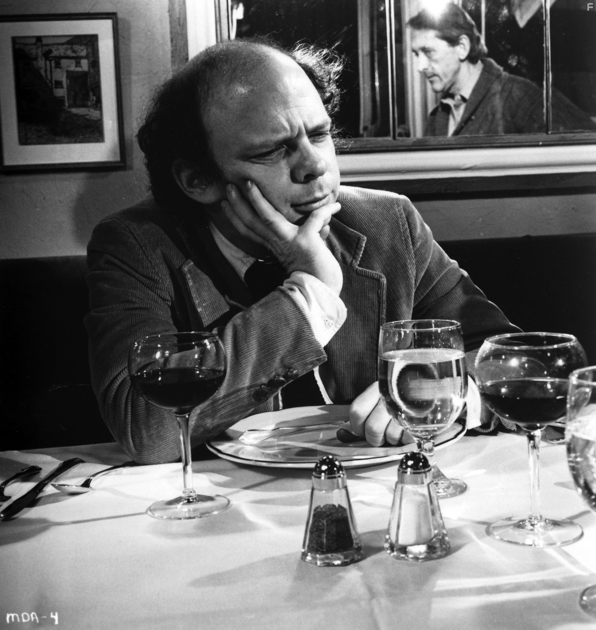 Wallace Shawn in Мой ужин с Андре (1981)