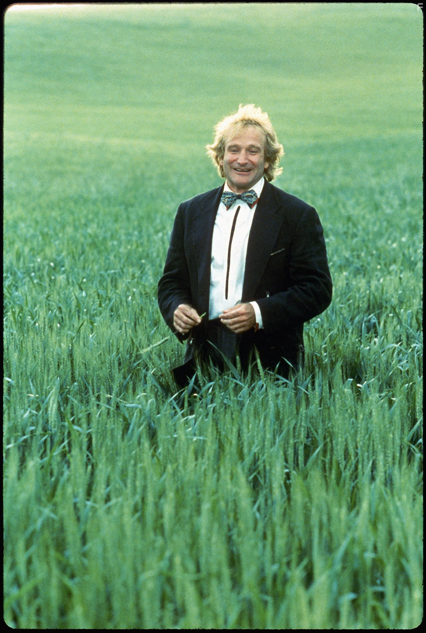 Robin Williams in Игрушки (1992)