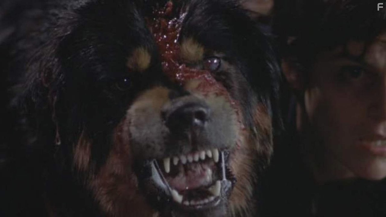 Лучший друг человека (1993)