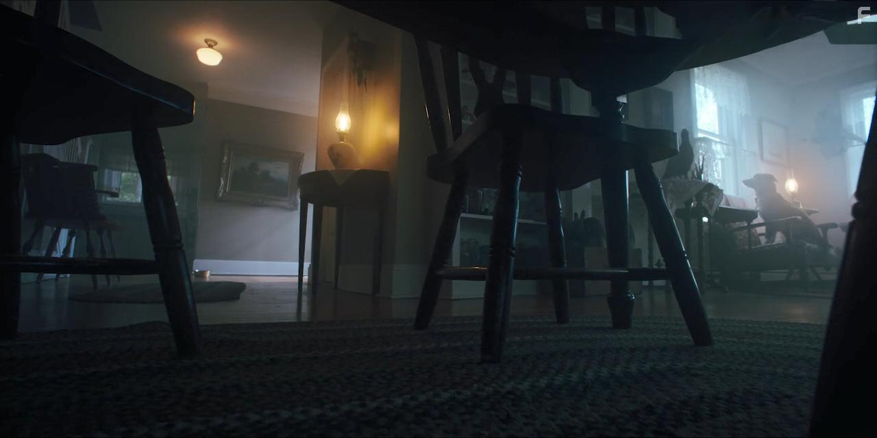 Глазами пса