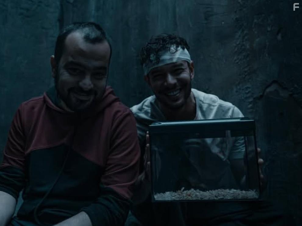 Анатомия хаоса #2