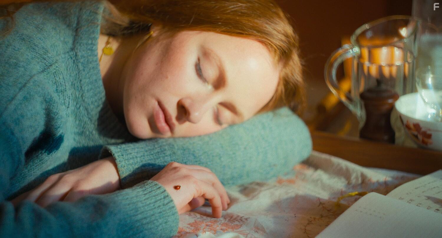 Дорогой звёзд #1