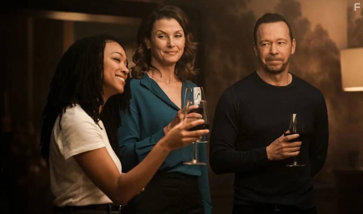 Голубая кровь: Бостон #1