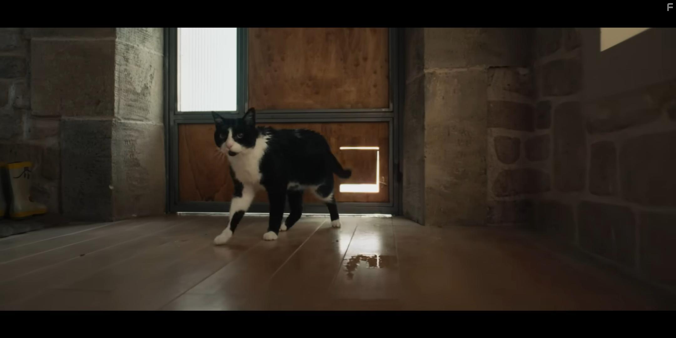 Дорогая, я уменьшаюсь #1