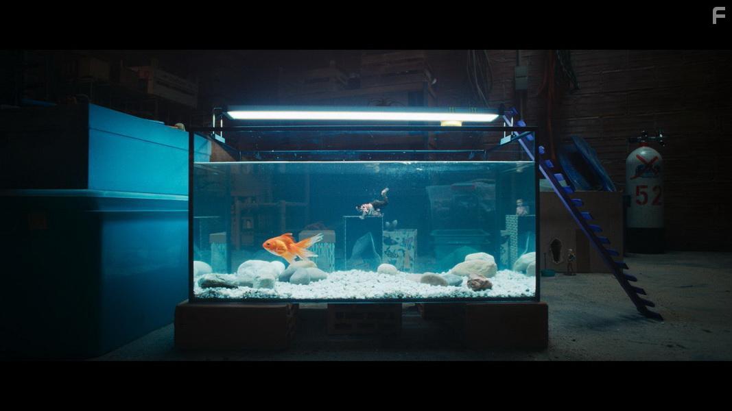 Дорогая, я уменьшаюсь #5