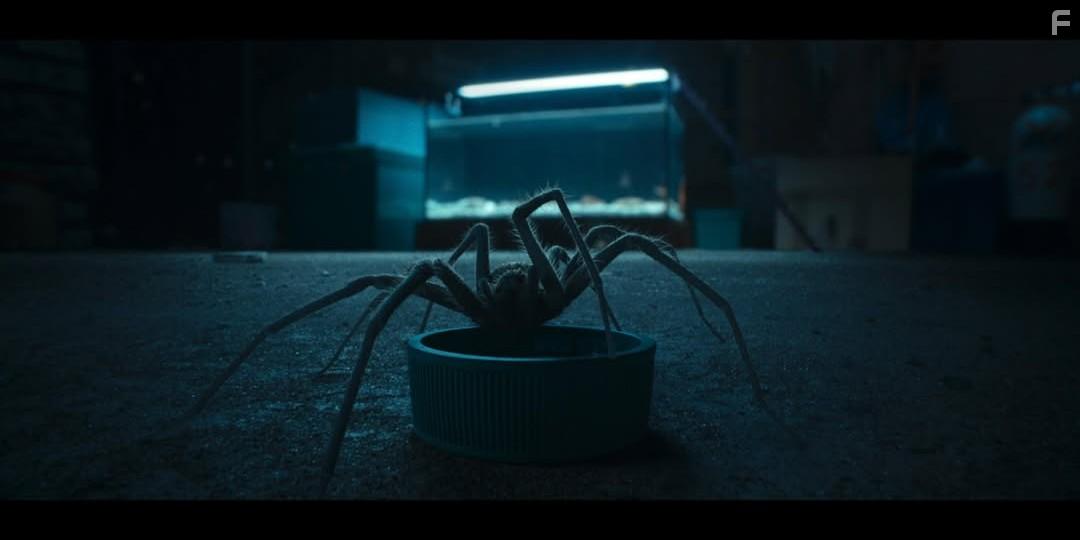 Дорогая, я уменьшаюсь #12