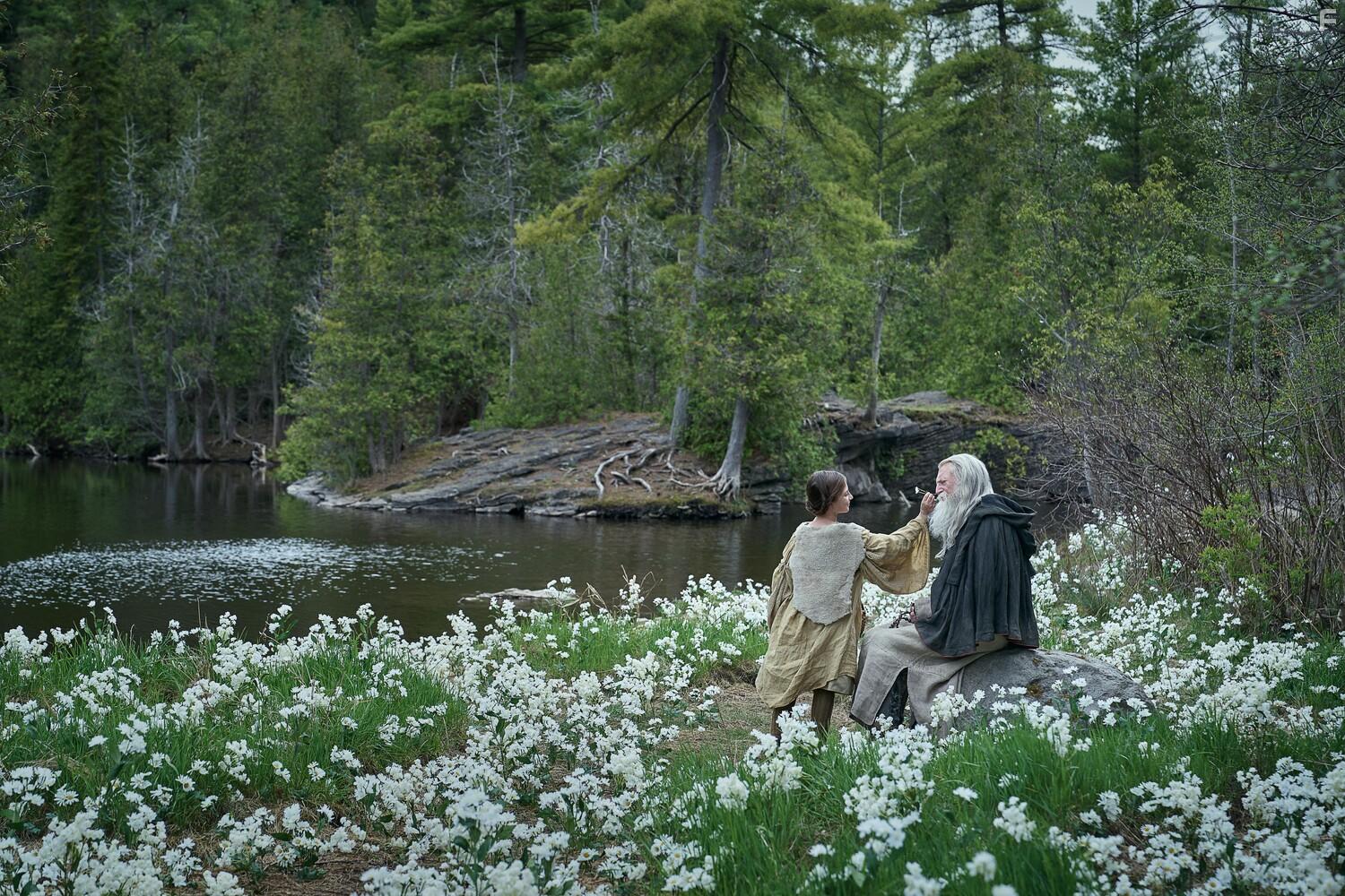 Франкенштейн #10