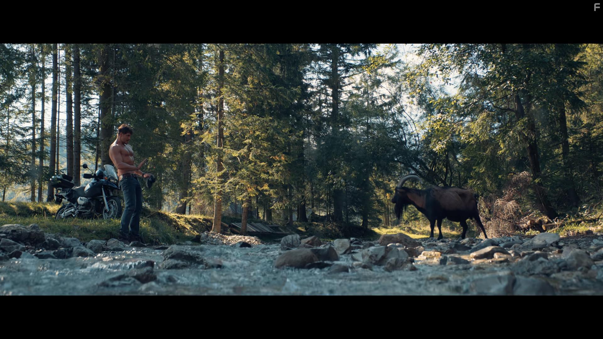 Укрощение строптивой #1