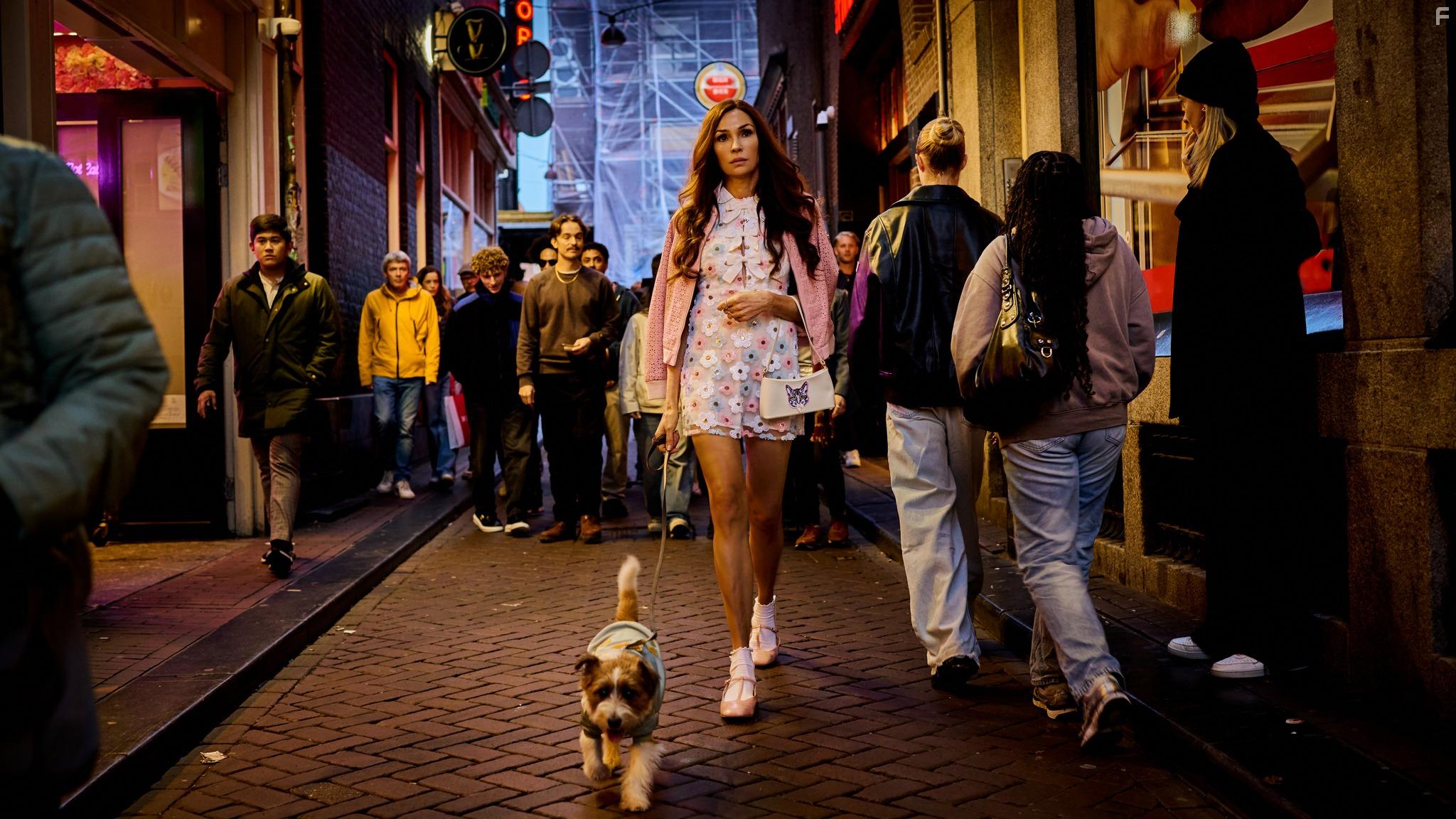 Амстердамская империя #2