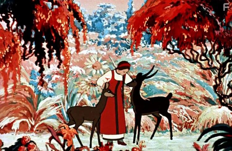 Прекрасный распускающийся цветок #6