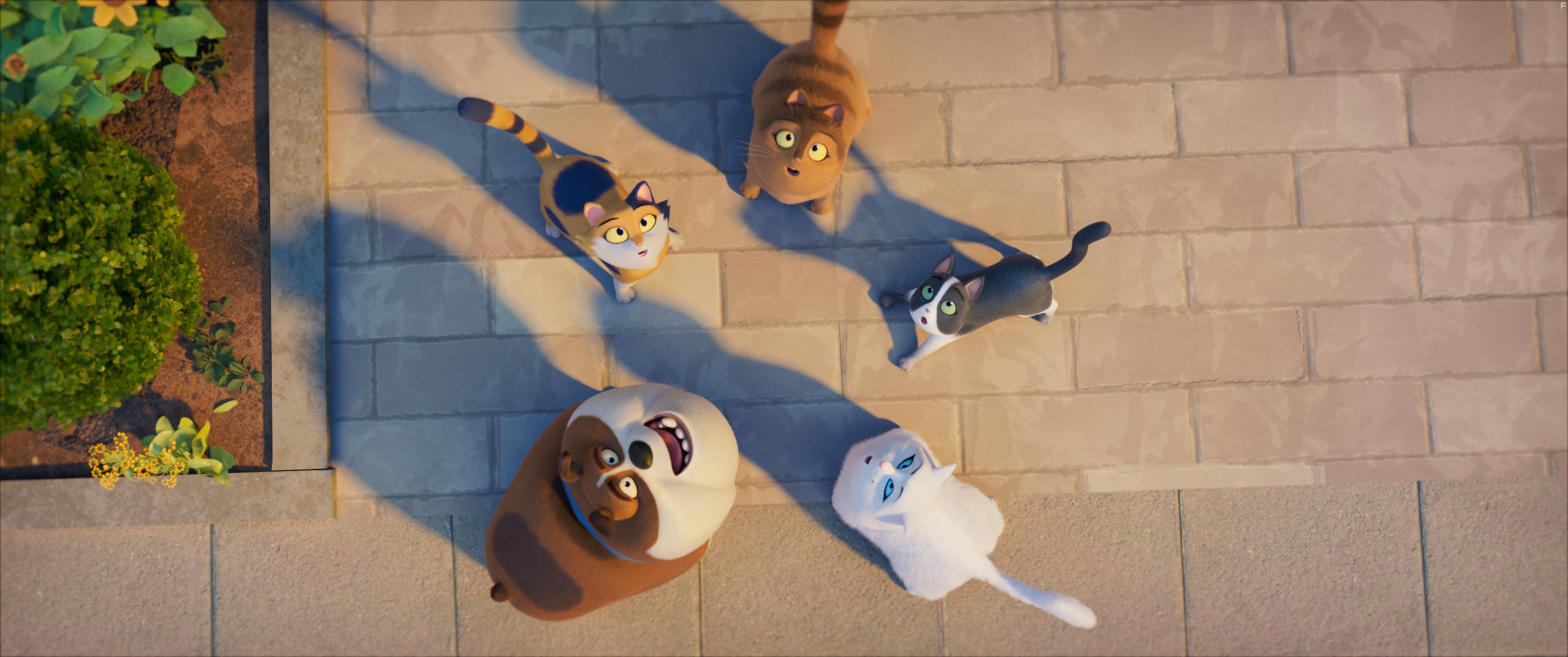 Изумительная Мокси #3