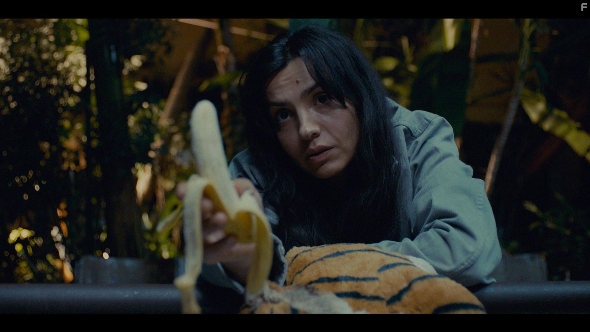 День тигра #4