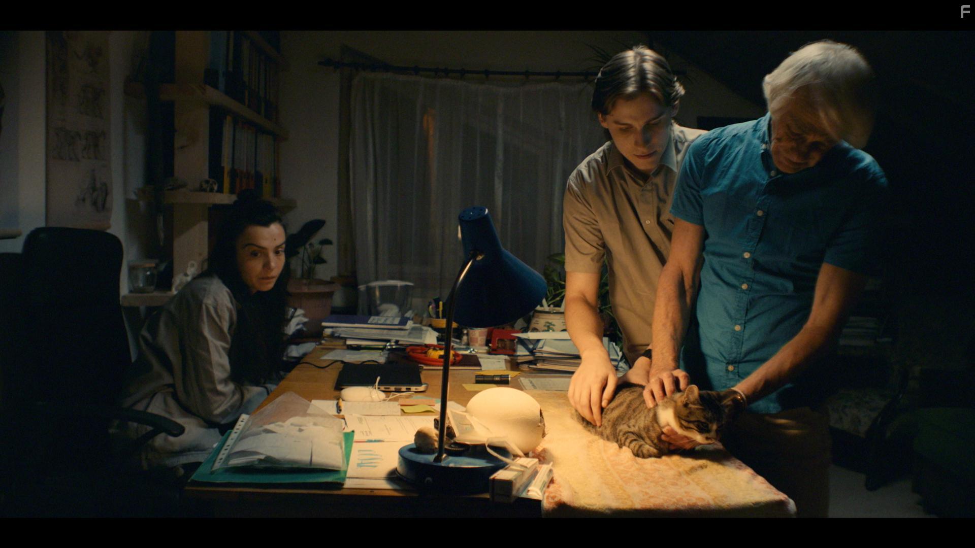 День тигра #7