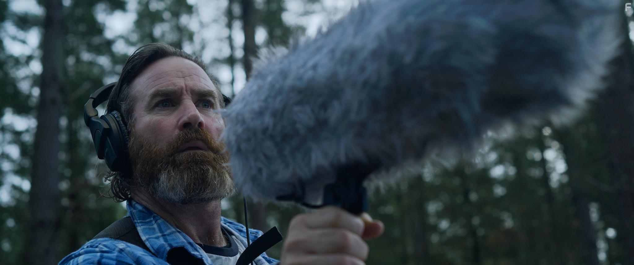 Среди сосен #3