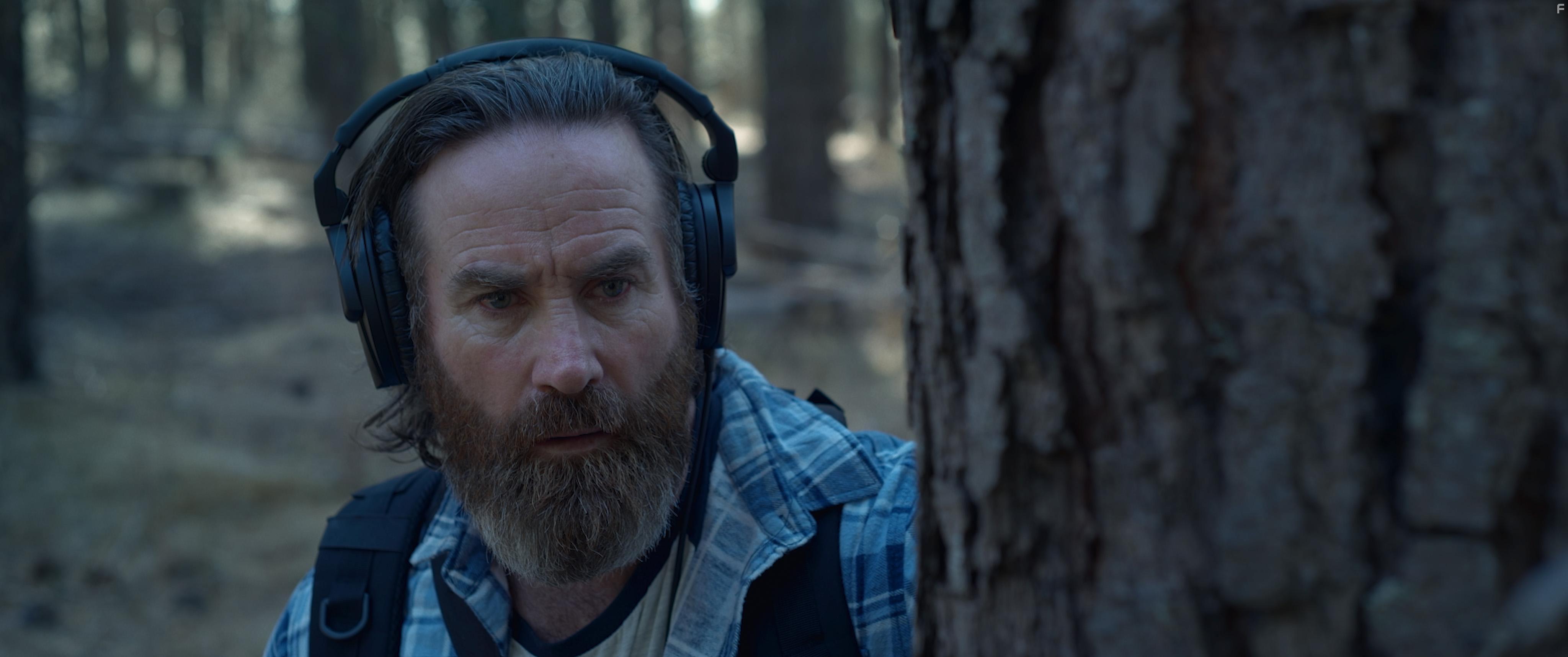 Среди сосен