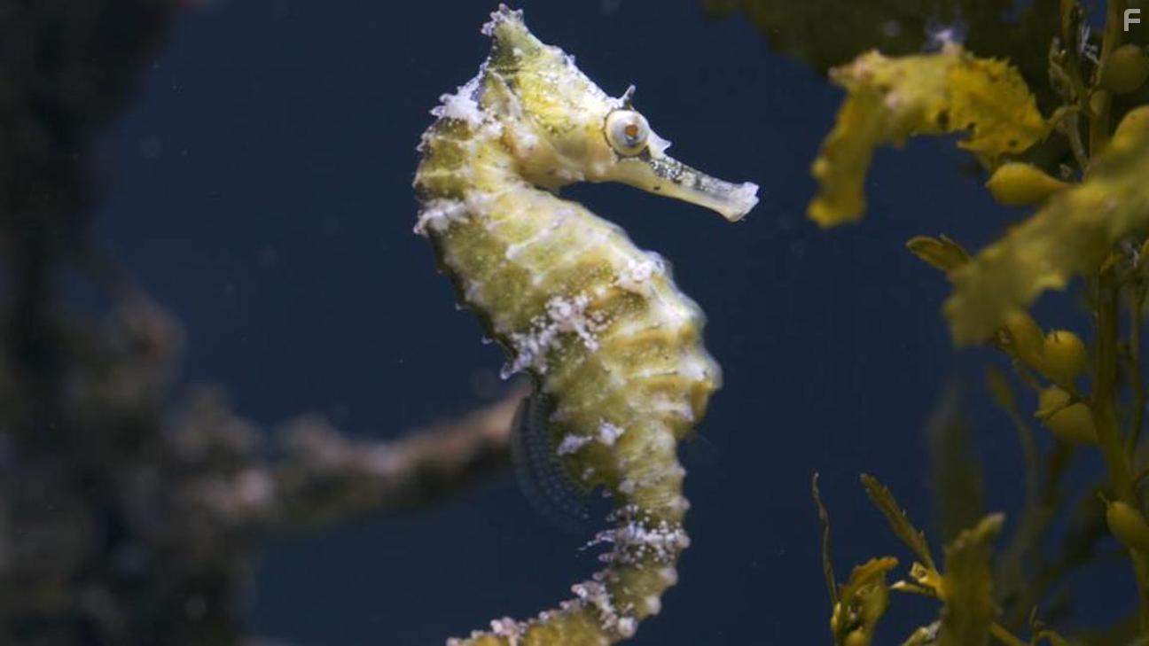 Свирепые королевы #1