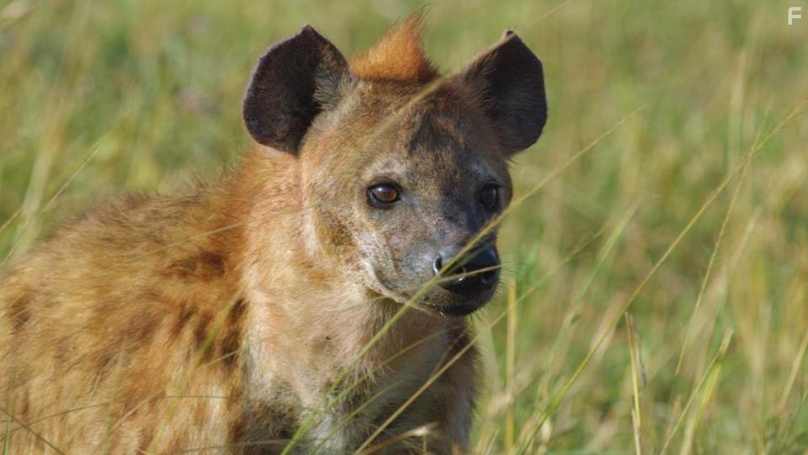 Свирепые королевы #2