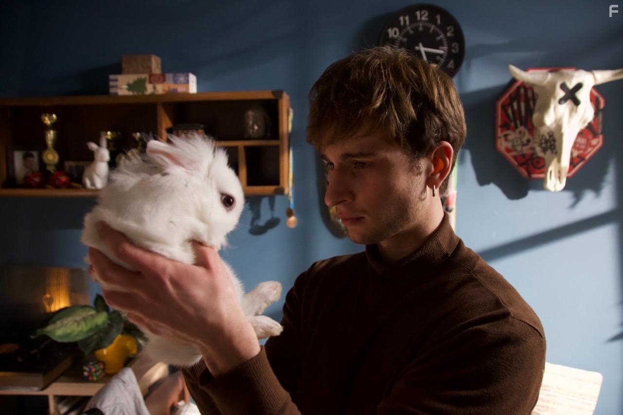 Война глазами животных