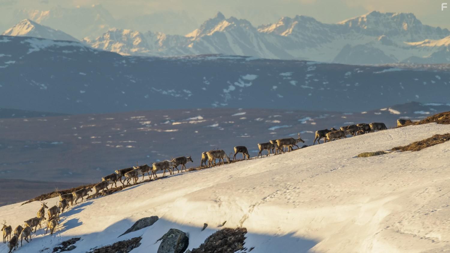 Прекрасная Америка #1