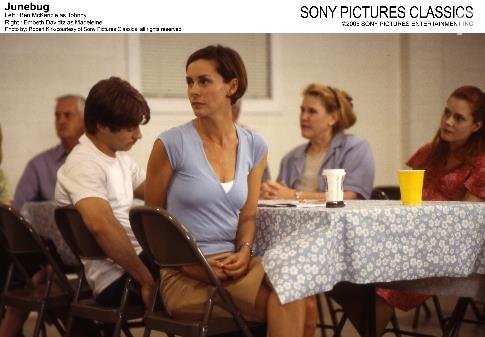 Июньский жук (2005)