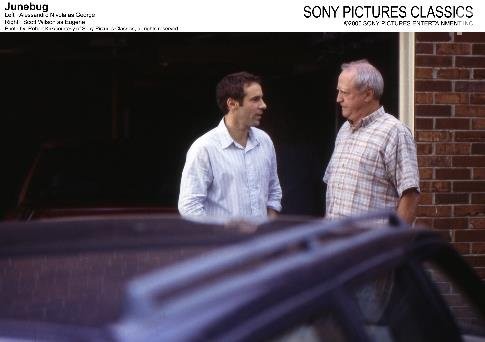 Июньский жук (2005)