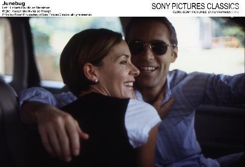 Июньский жук (2005)