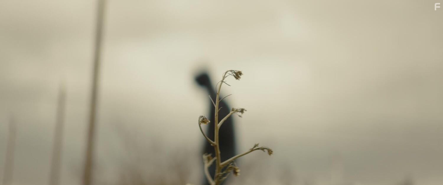 Незваный гость #5