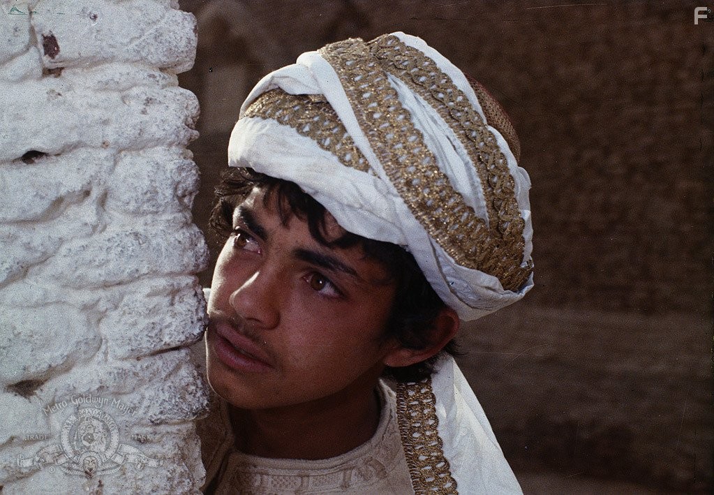 Цветок тысяча и одной ночи