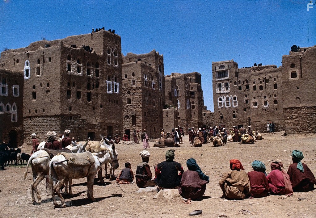 Цветок тысяча и одной ночи (1974)