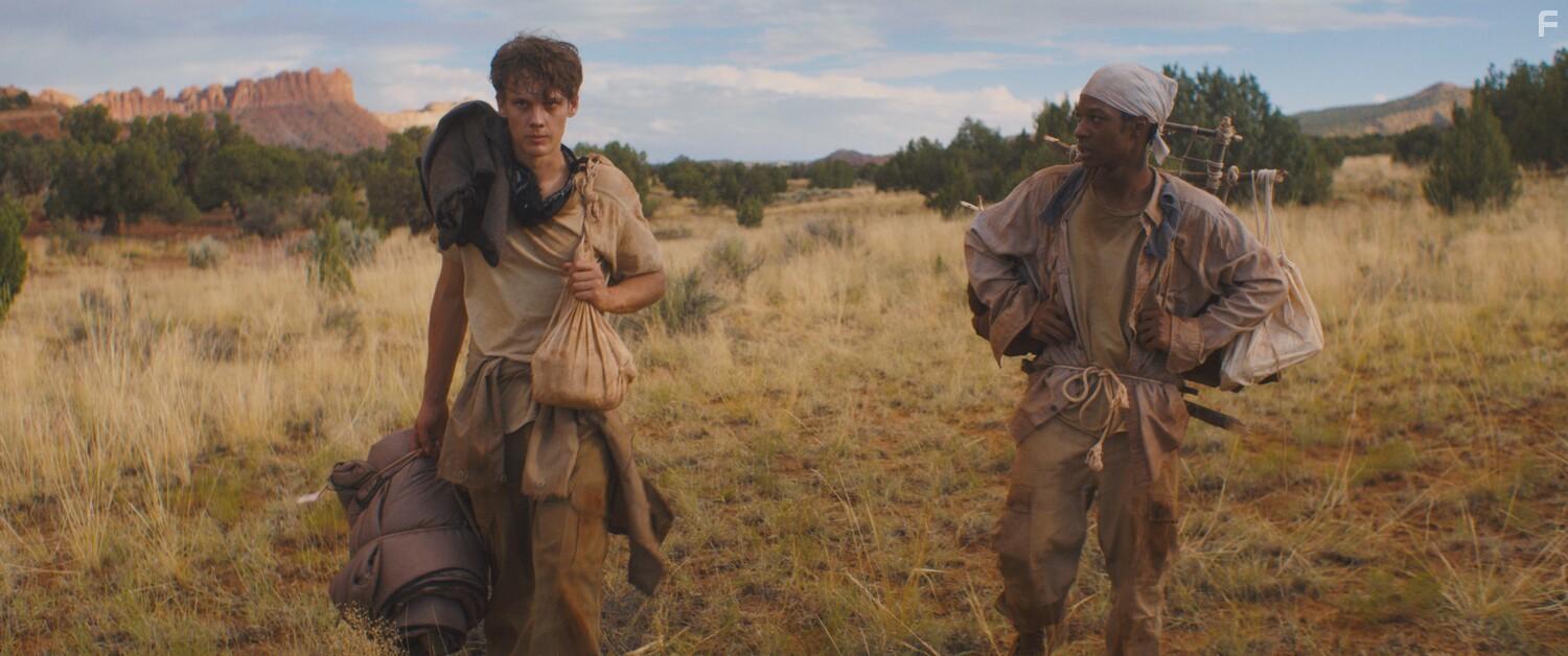 Дикая природа