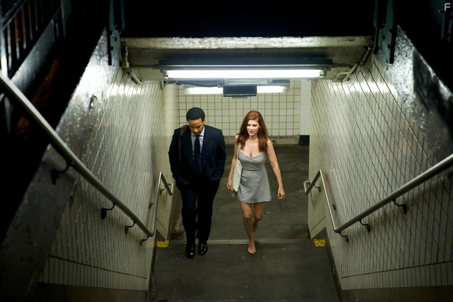 Голландец #1