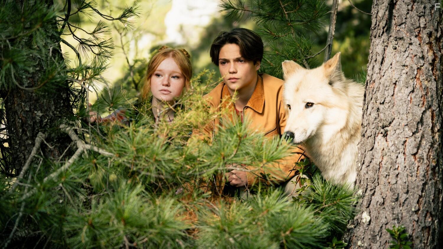 Дети леса 2