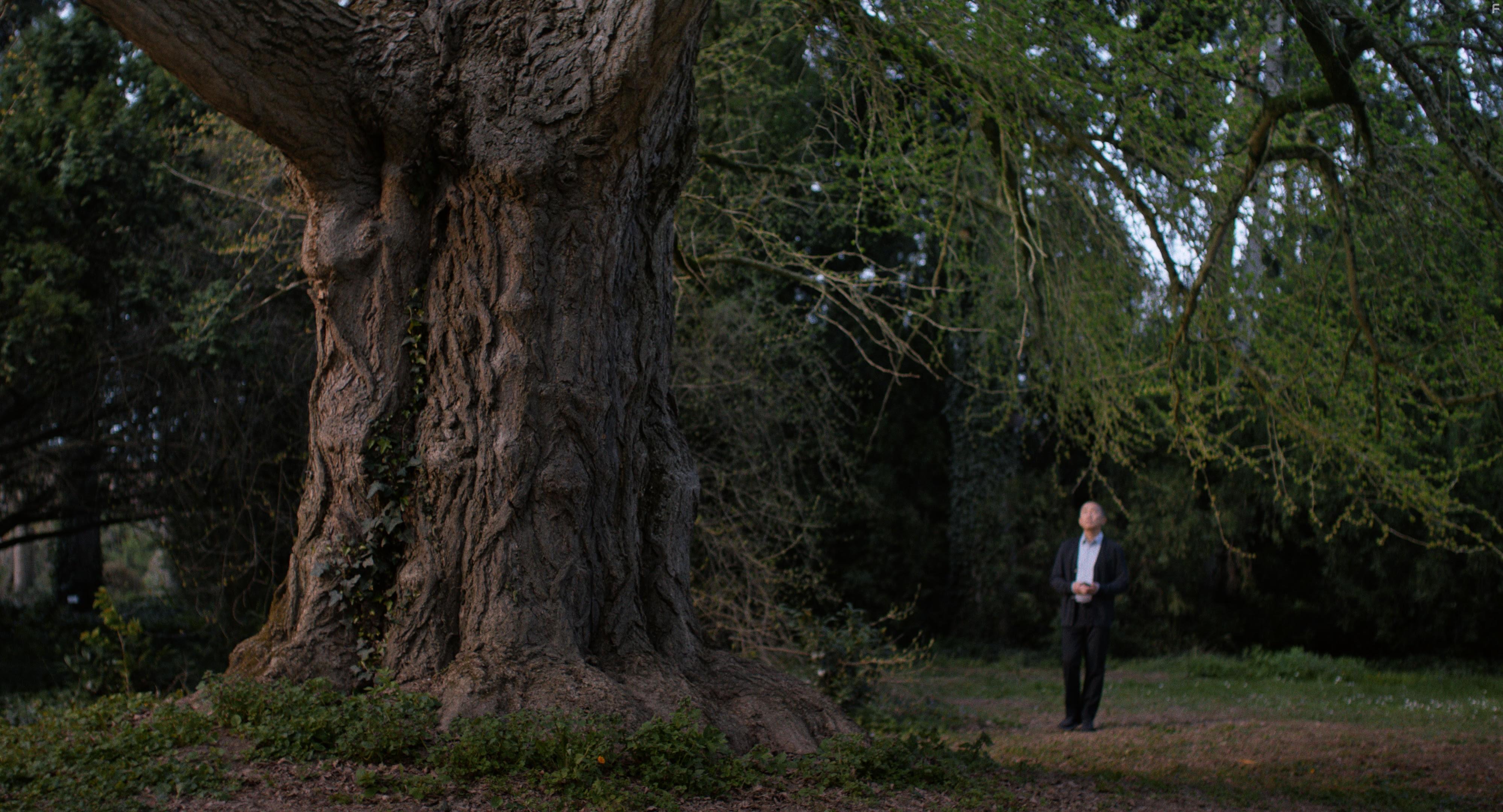 Молчаливый друг