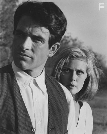 "Bonnie and Clyde" Faye Dunaway and Warren Beatty 1967 Warner Bros.