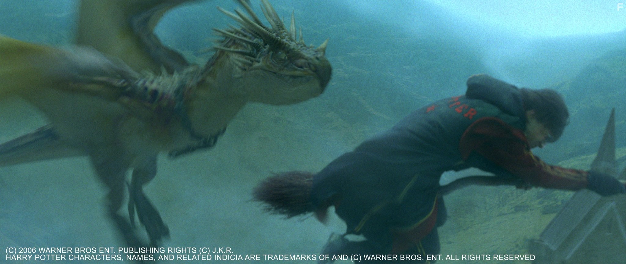 Daniel Radcliffe in Гарри Поттер и кубок огня (2005)