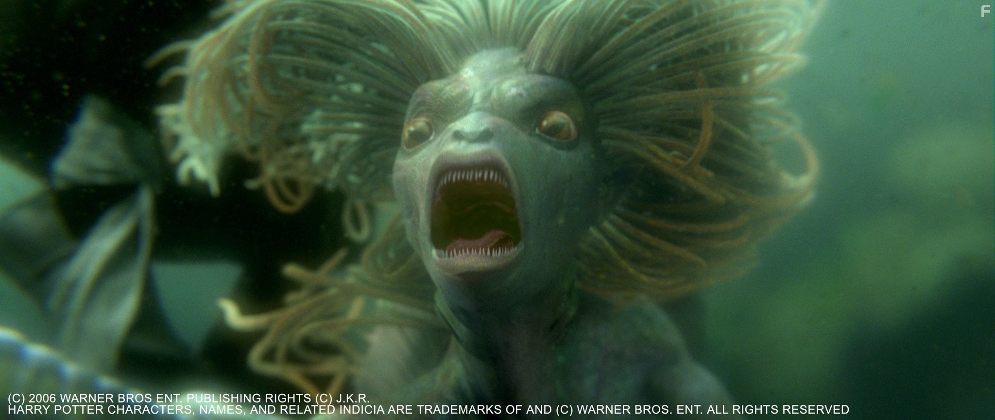 Гарри Поттер и кубок огня (2005)