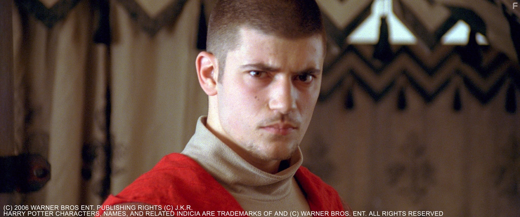Stanislav Ianevski in Гарри Поттер и кубок огня (2005)