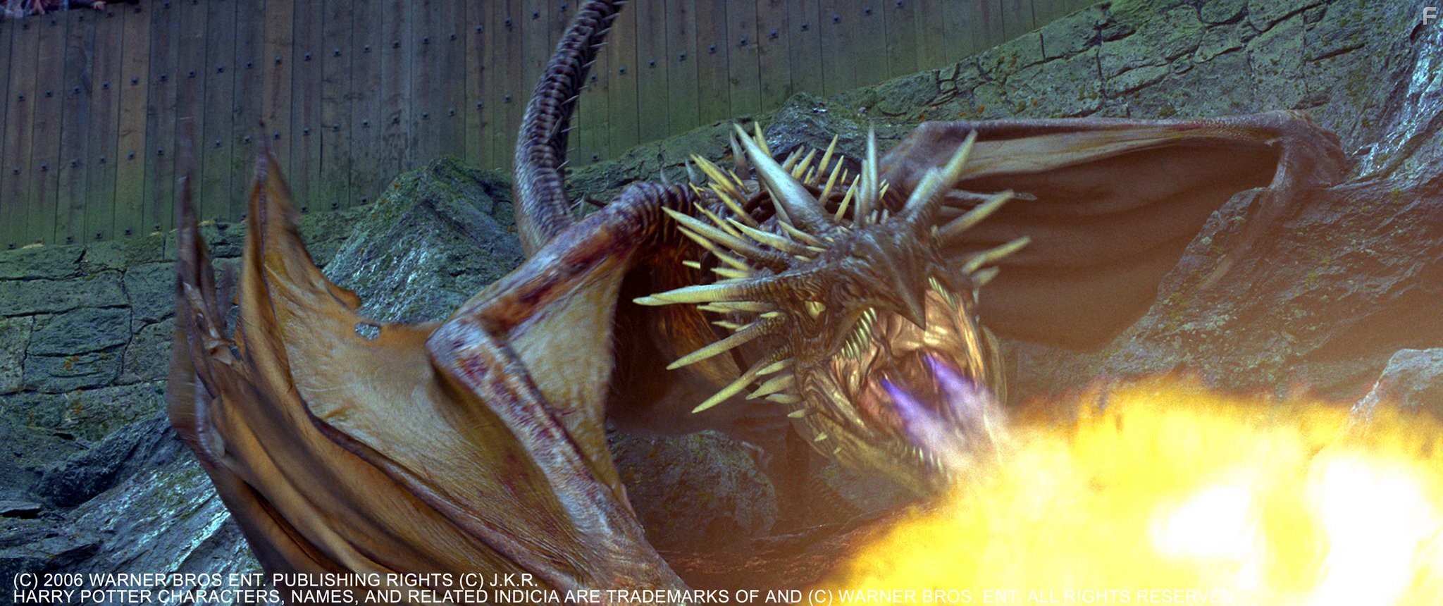 Гарри Поттер и кубок огня (2005)